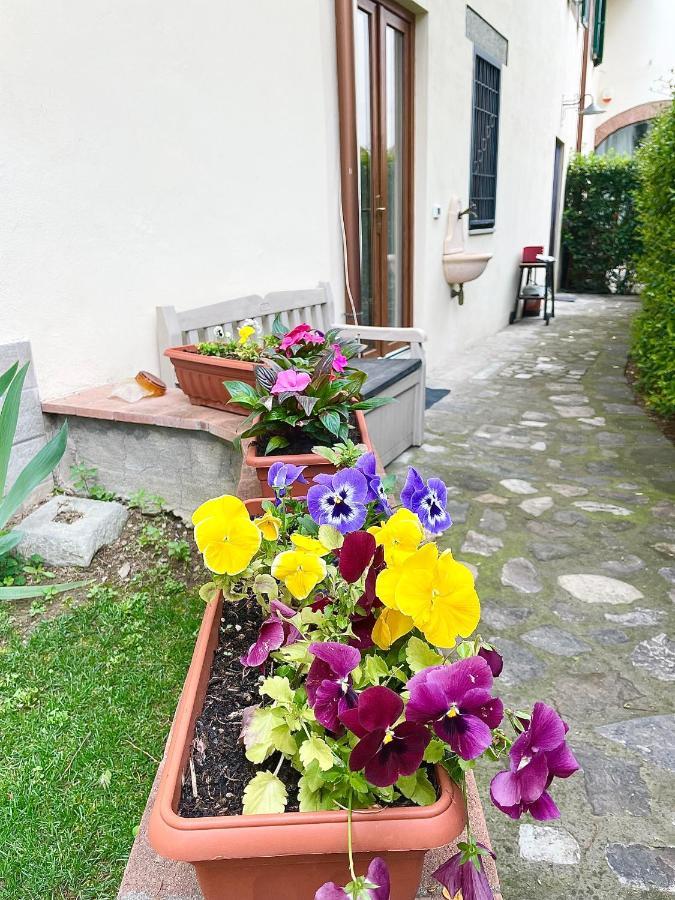 Dalu Florence Apartment Davide - Private Car Park 15 Minutes To The City Center Eksteriør bilde