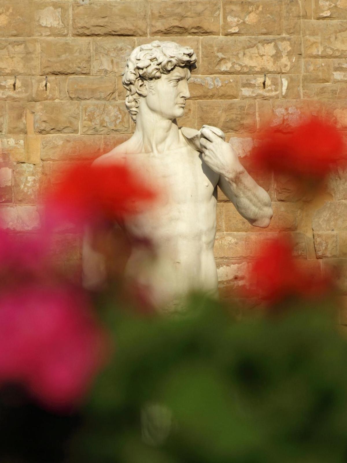 Dalu Florence Apartment Davide - Private Car Park 15 Minutes To The City Center Eksteriør bilde