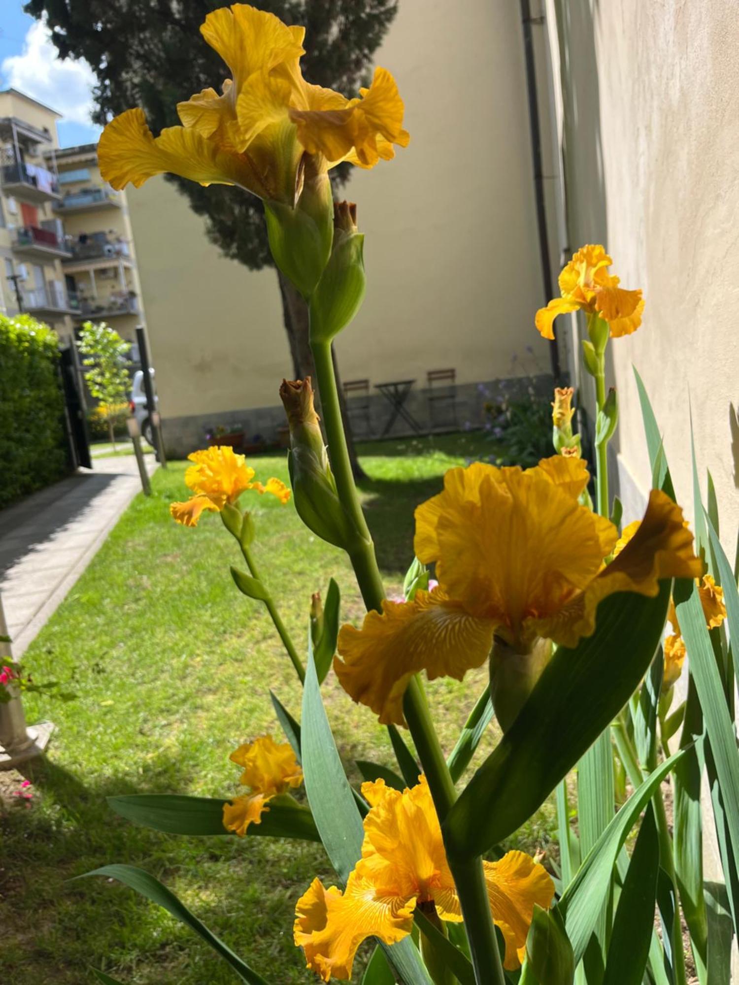 Dalu Florence Apartment Davide - Private Car Park 15 Minutes To The City Center Eksteriør bilde